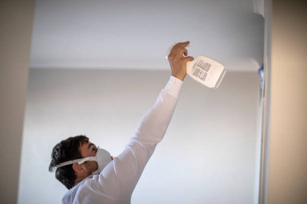Best Mold Remediation for Schools in Christopher, IL