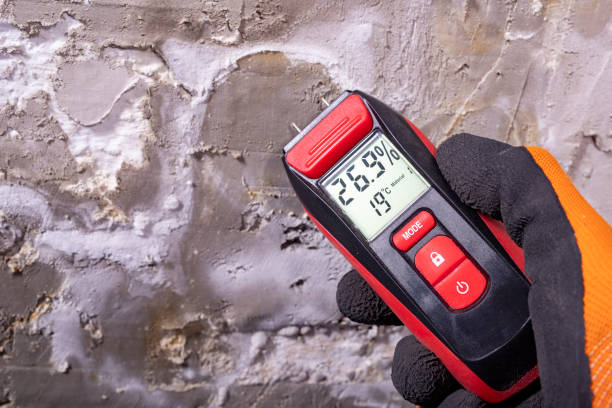 Best Mold Testing and Inspection Services in Christopher, IL
